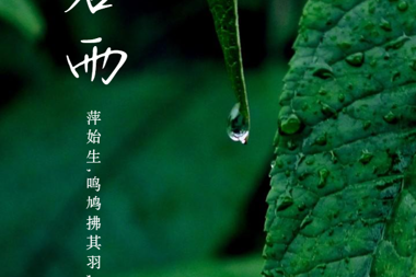 【溫暖?財鑫】每一次風(fēng)雨過(guò)后，終將在陽(yáng)光中溫暖新生